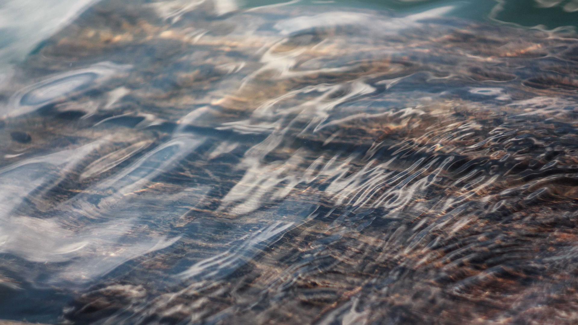 VPA Service Workshop